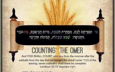 Counting the Omer, Two Views, One Season