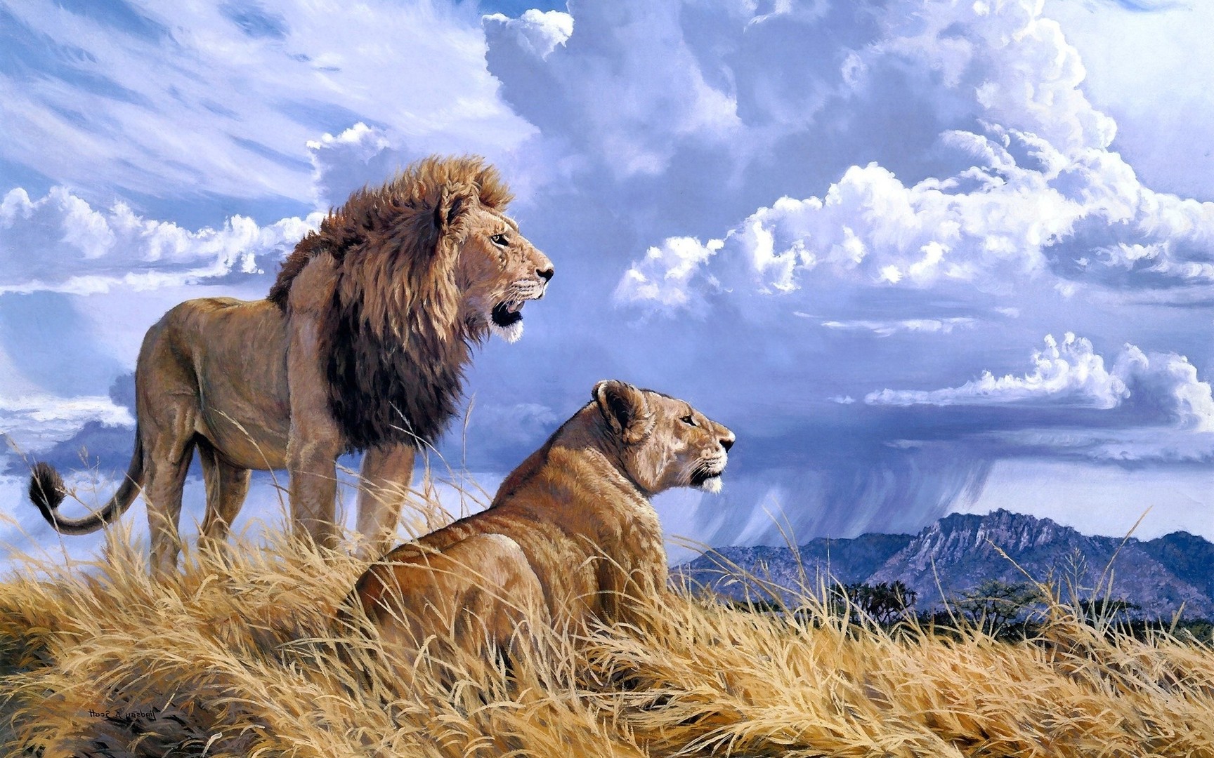 lion-and-lioness-9646